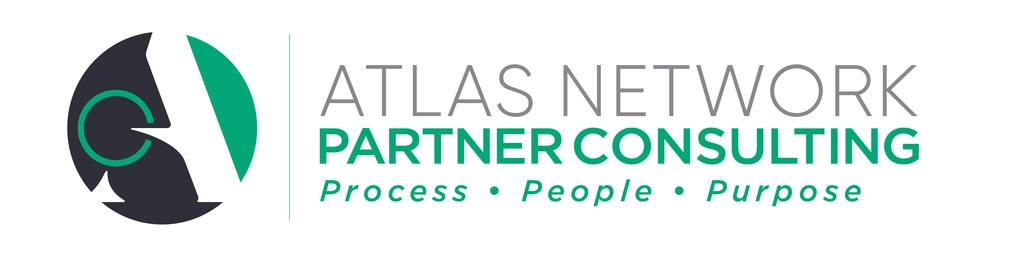 Leadership and Team Consulting